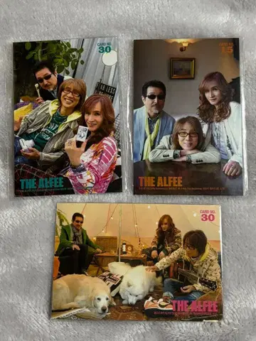 ALFEE 트레이딩 카드 3장
