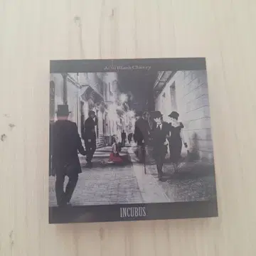 Acid Black Cherry 랜덤 아크릴 마그넷 B INCUBUS