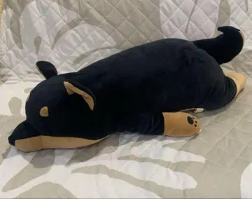 넴넴 애니멀 블랙 시바견 코테츠 빅 봉제 인형
