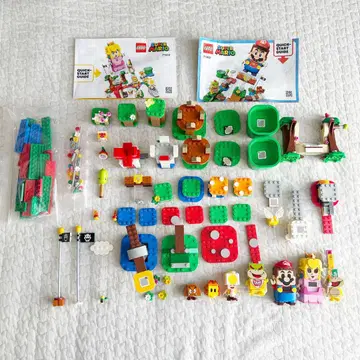 LEGO 피치 마리오 세트