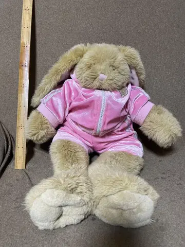 빌드어베어 봉제인형 토끼 코스튬 핑크 저지