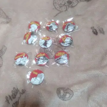 히로아카 올스타 캔배치