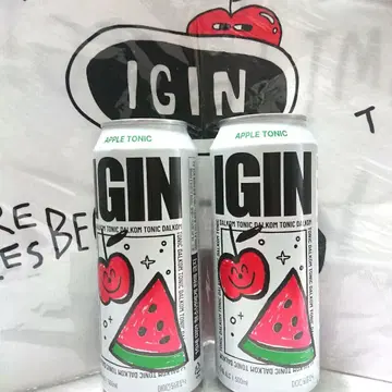 bts jin 진 IGIN 2캔 토트백 팝업 굿즈