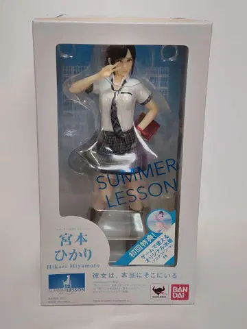 미야모토 히카리 피규아트 ZERO 서머레슨 반다이 1/8 피규어