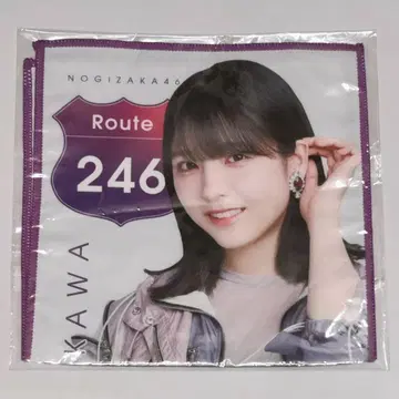 하야카와 세이라 핸드 타월 Route246