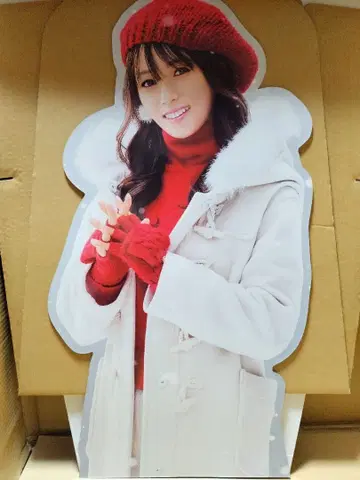 후카다 쿄코 등신대 패널