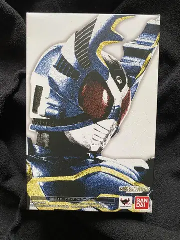 진골조각 가면라이더 타크