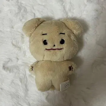 ENHYPEN 제이크 봉제 인형 10cm 마스터