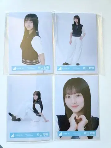 가타야마 사키 부탁 바흐! 자켓 사진 의상 4종 컴프 한정판