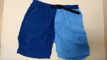 THE NORTH FACE 바이컬러 숏팬츠 L