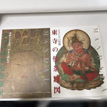 도지의 만다라 그림