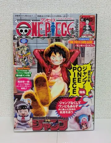 ONE PEICE magazine 원피스 매거진 20호 프로모 카드