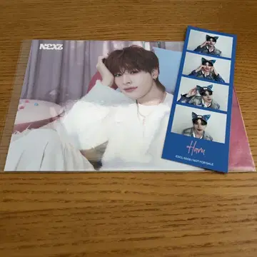 넥스지 하루
