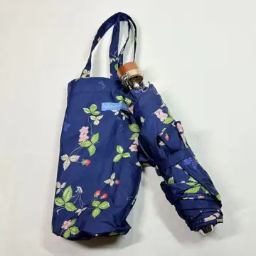 WEDGWOOD 웨지우드 접이식 우산 와일드 스트로베리 우천 겸용