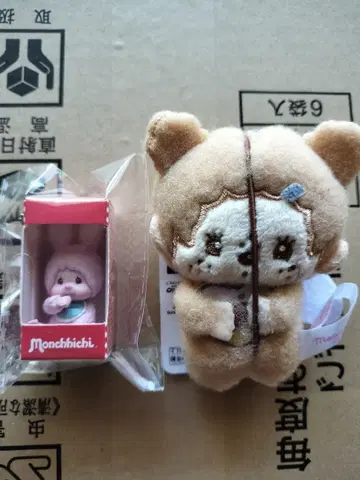 몬치치 침탄