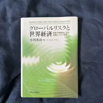 글로벌 리스크와 세계 경제
