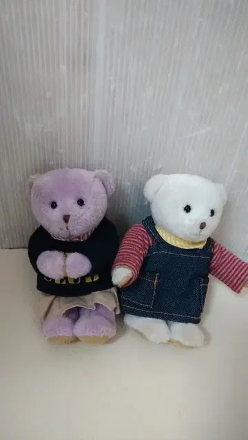 Petit Cou 곰 봉제 인형 2체 세트 11-134
