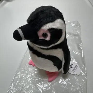 스미다 수족관 펭귄 봉제 인형