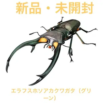 새상품 에라푸스 호소아카사슴벌레 (그린) 생물대도감 어드밴스 캡슐판