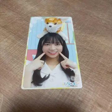 야마구치 하루요 히나코레 리얼 카드