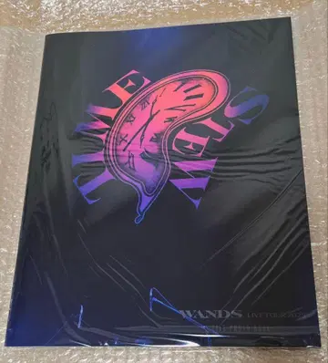 WANDS TIME STEW 2025 LIVE 사진집