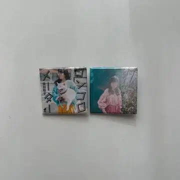 시바타 사토코 캔 배지