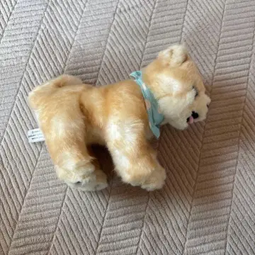 슌스케 포메라니안 봉제 인형