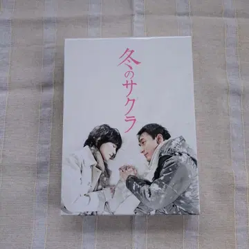 겨울의 사쿠라 DVD