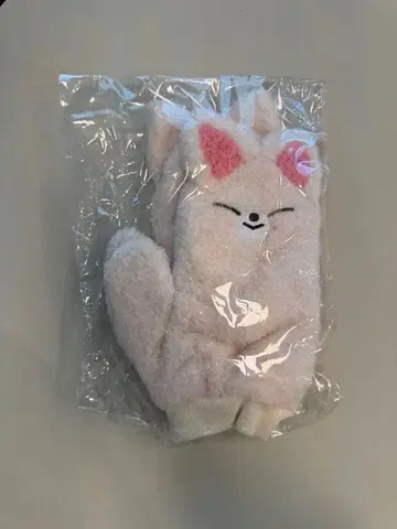 straykids skzoo 장갑 아이엔 폭시니