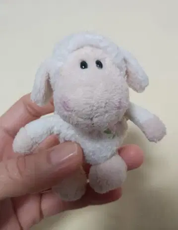 nici 양 봉제 인형 8cm