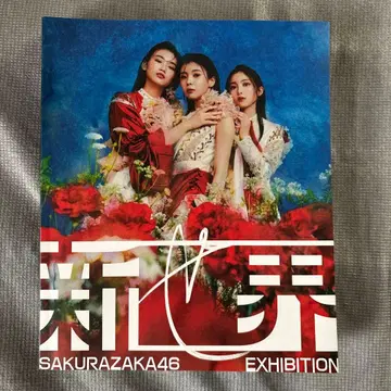 SAKURAZAKA46 EXHIBITION 신세계