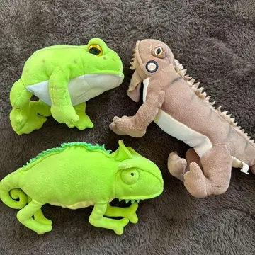 카멜레온과 개구리와 도마뱀 봉제 인형 세트