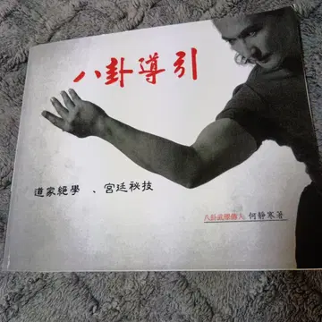 중국 무술 [ 팔괘도인 도가절학 궁정비기 ]