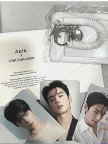 Abib x CHA EUN-WOO 키링 세트