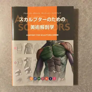 스컬프터를 위한 미술 해부학