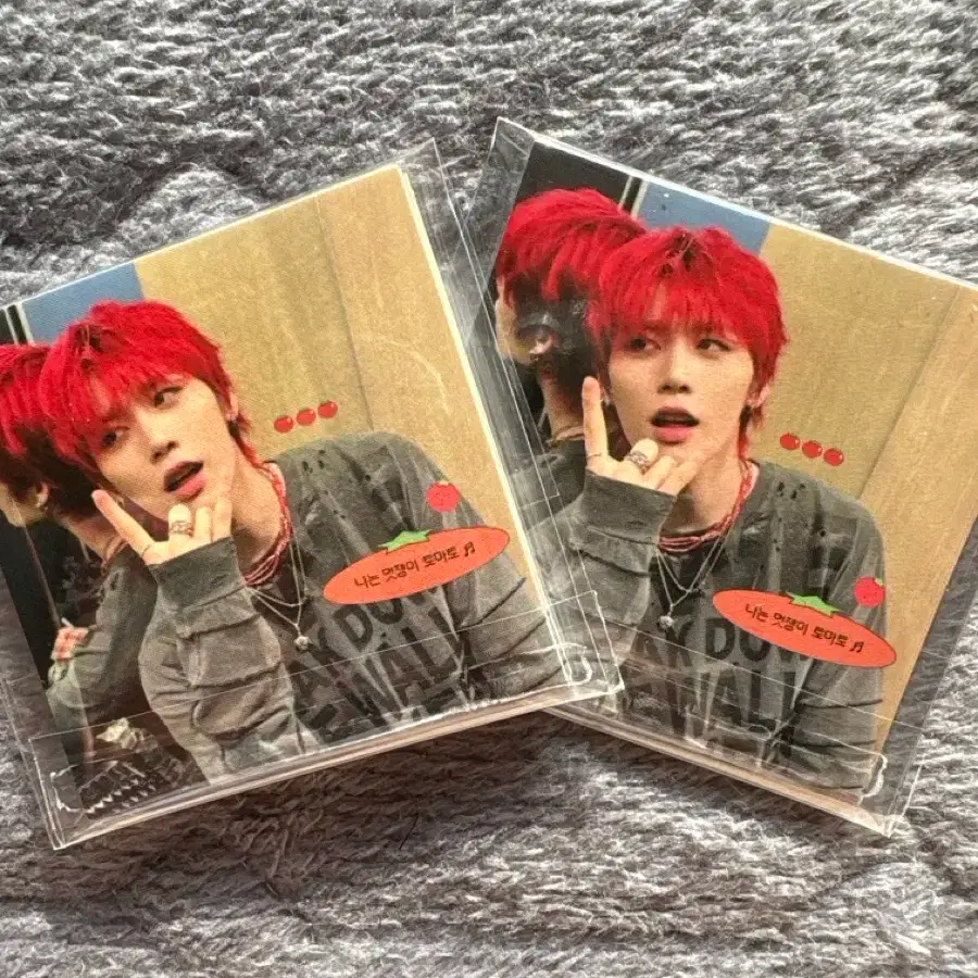 Stylish Taemetae domusong / Boynextdoor Taesan domusong