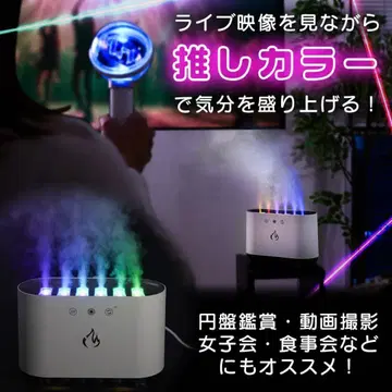 LIVE USB 가습기 700ml 덕질