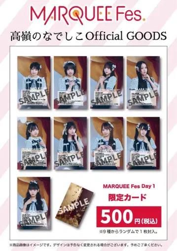 타카네노 나데시코 MARQUEE Fes. day1 한정판 카드 컴프 세트