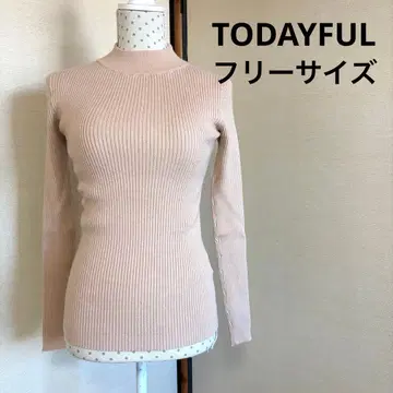 TODAYFUL 베이지 리브 긴팔 하이넥 니트