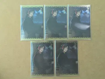 보이스 비주얼 카드 카이세이