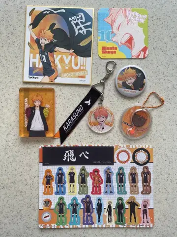 하이큐 히나타 쇼요 세트