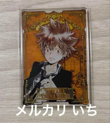 가정교사 히트맨 REBORN! 리본 스탯 카드 스테카 츠나요시 츠나