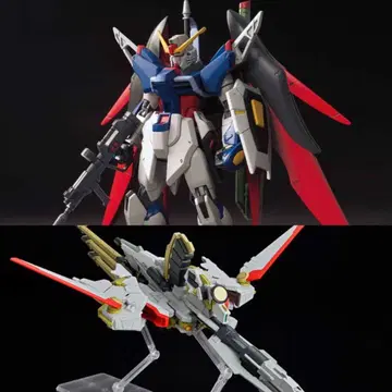 HG 데스티니 건담 & 제우스 실루엣