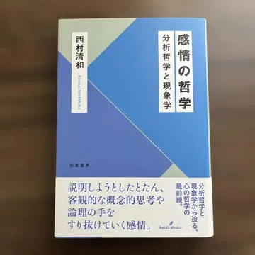 감정의 철학 분석 철학과 현상학