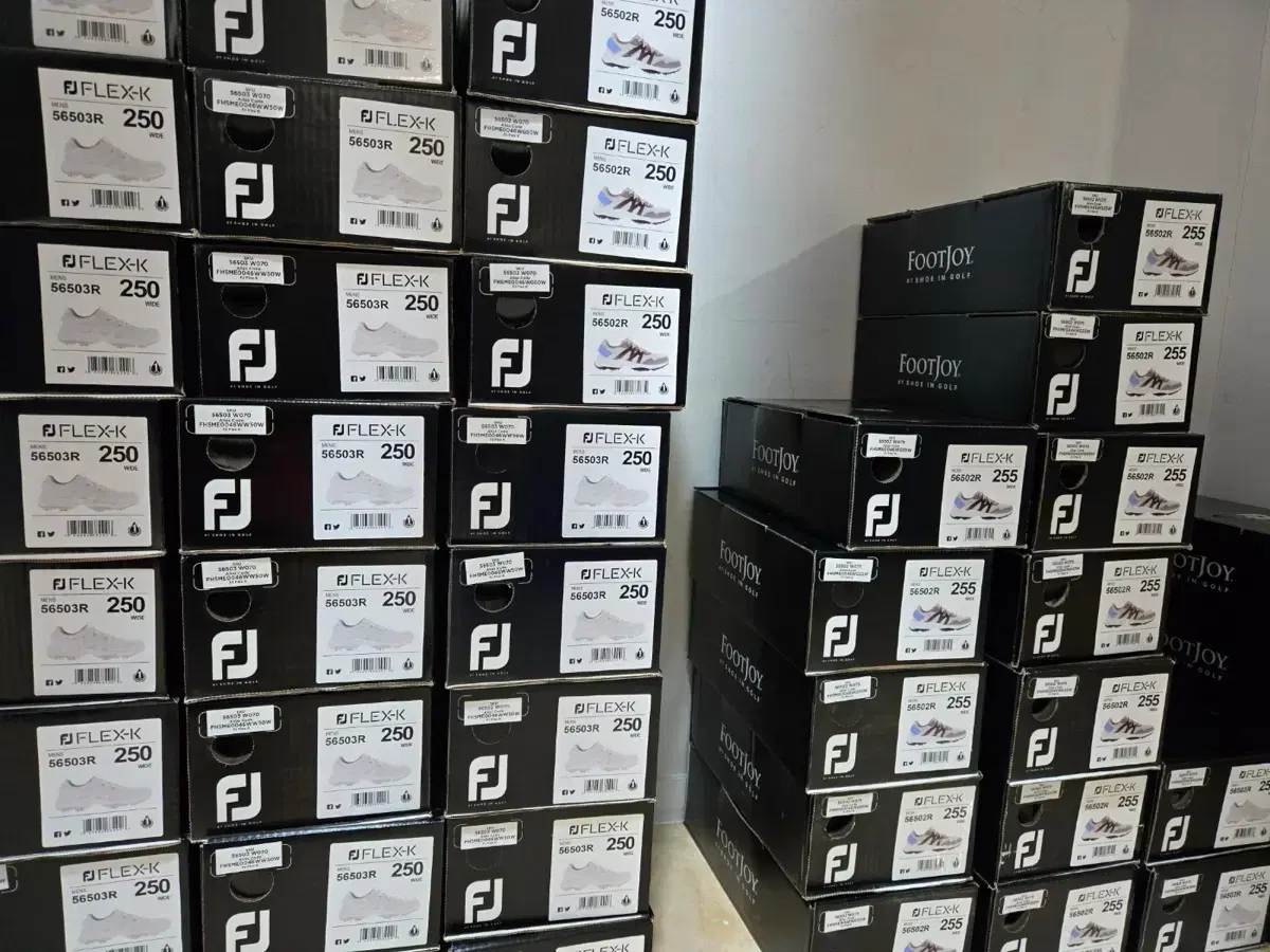 풋조이 골프화 사이즈 255,250,230,225,220