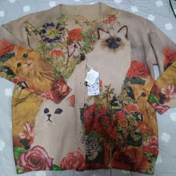 스칼라 스칼라 가디건 고양이