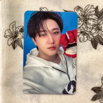 Straykids KARMA Target 혜택 창빈 트레이딩 카드 1장