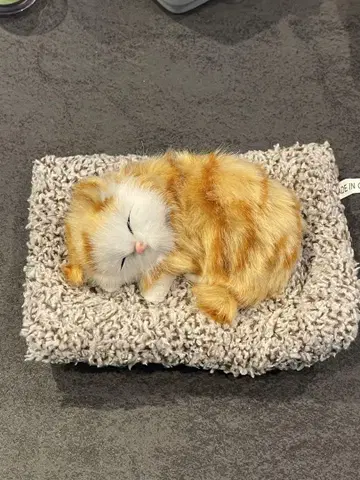 프라이스 한정판 잠자는 고양이 봉제 인형 쿠션