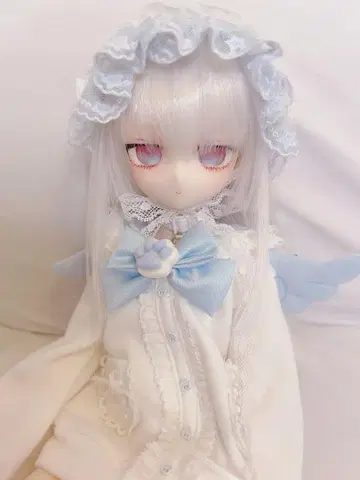 미니돌피 드림 MDD DDH-29