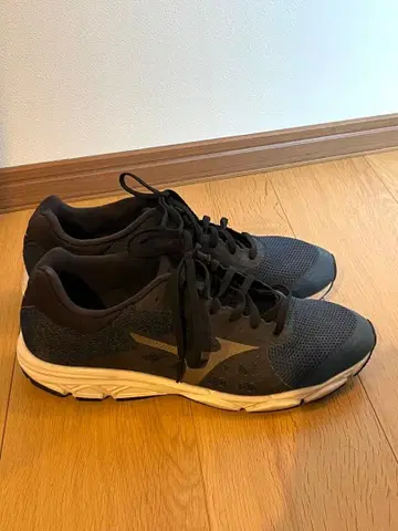Mizuno 러닝화 네이비 29.0 3E